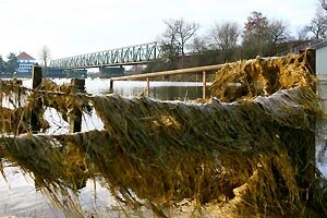 Hochwasser die Dritte